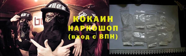 гидра Михайловск